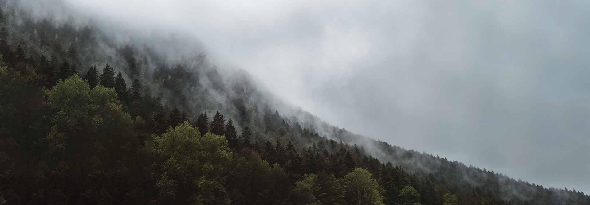 Зеленое производство