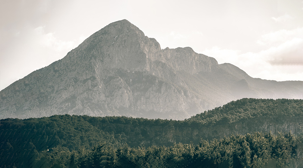 Экологически чистая мебель