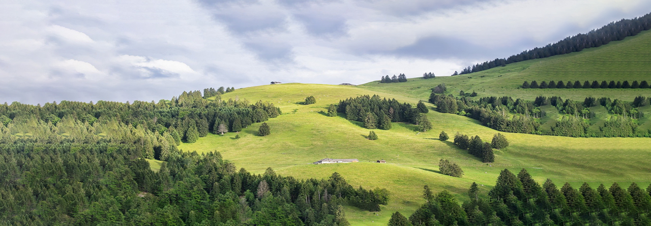 Экологически чистая мебель