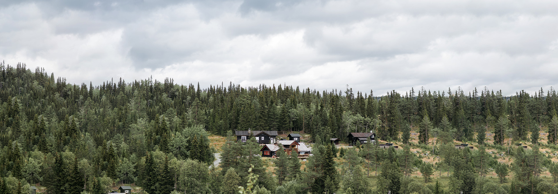 Экологически чистая мебель