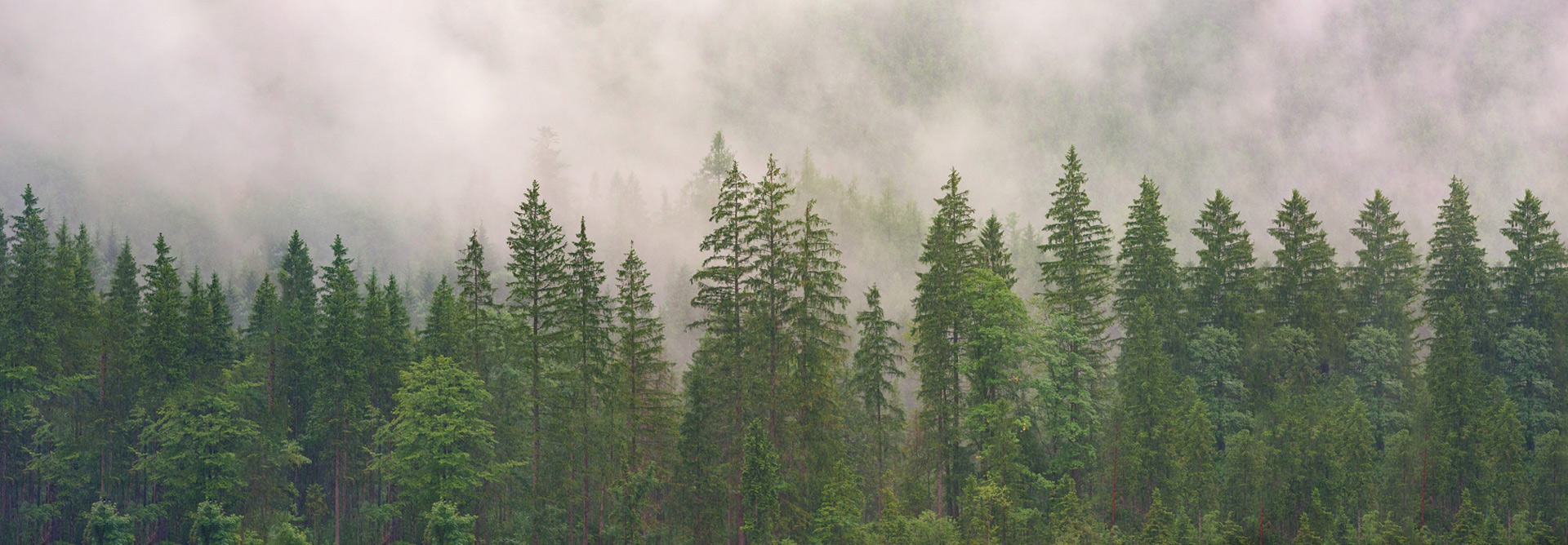 Экологически чистая мебель